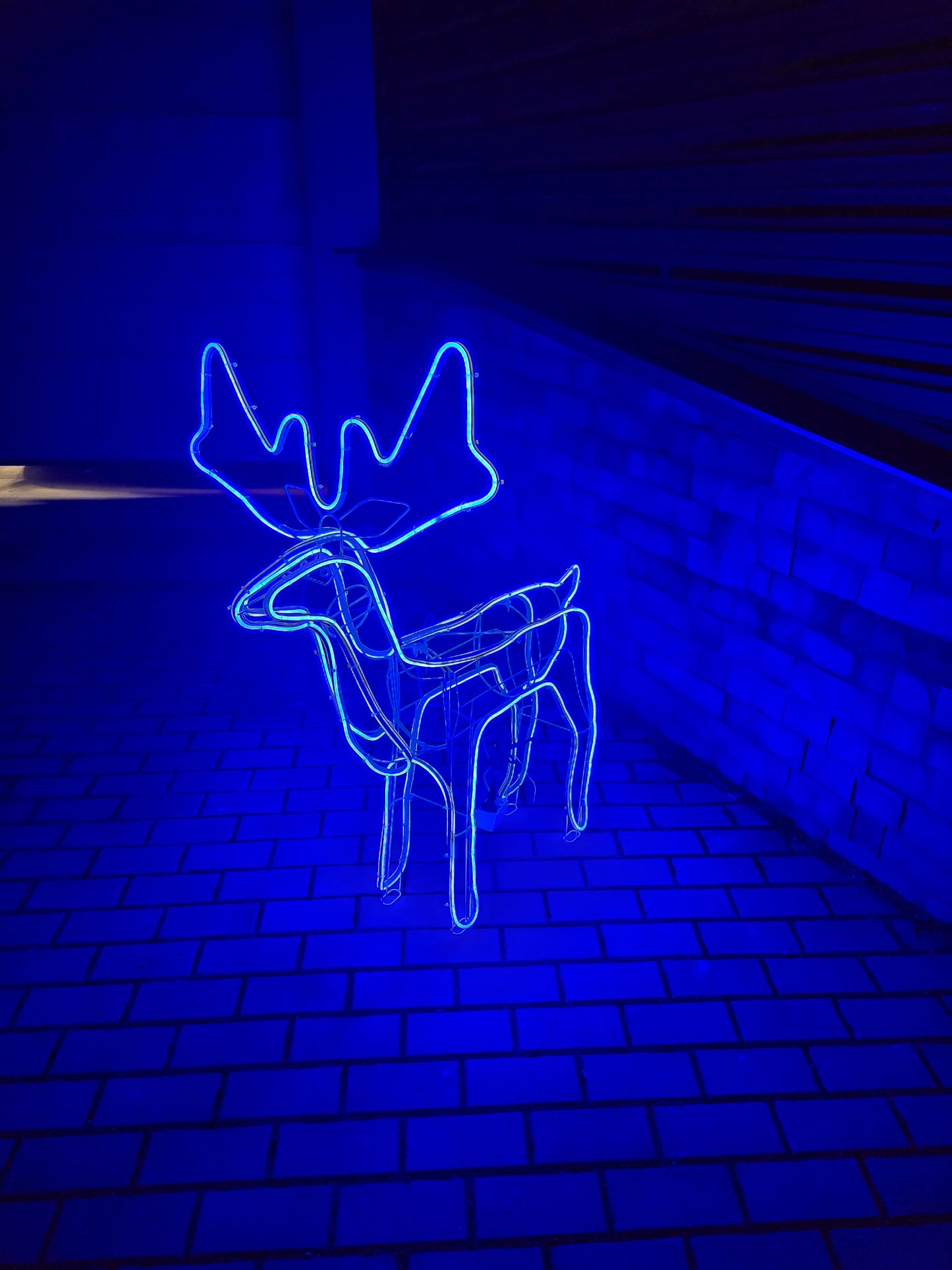 Izgaismots Neona LED briedis, āra dekorācijām 110cm (Cenā iekļauta piegāde)